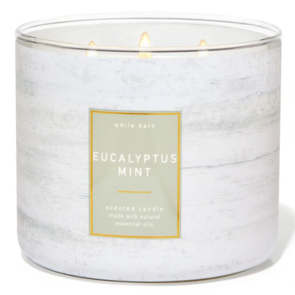 B&BW Eucalyptus Mint 3-Wick Candle